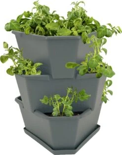 Paul Potato Starter - 3 Etagen, Grau 30 Paul Potato Starter - 3 Etagen, Grau -Deutschland Gartenbedarf Verkäufe 2024 gusta garden paul potato starter 3 etagen 1 st 765201 de
