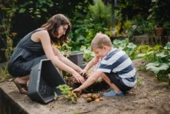 Paul Potato Starter - 3 Etagen, Grau 20 Paul Potato Starter - 3 Etagen, Grau -Deutschland Gartenbedarf Verkäufe 2024 gusta garden paul potato starter 3 etagen 1 st 765251 de