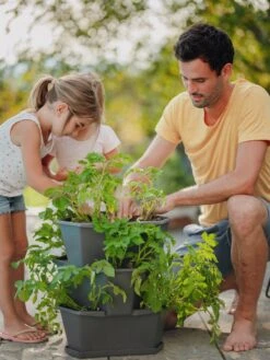 Paul Potato Starter - 3 Etagen, Grau 29 Paul Potato Starter - 3 Etagen, Grau -Deutschland Gartenbedarf Verkäufe 2024 gusta garden paul potato starter 3 etagen 1 st 899431 de