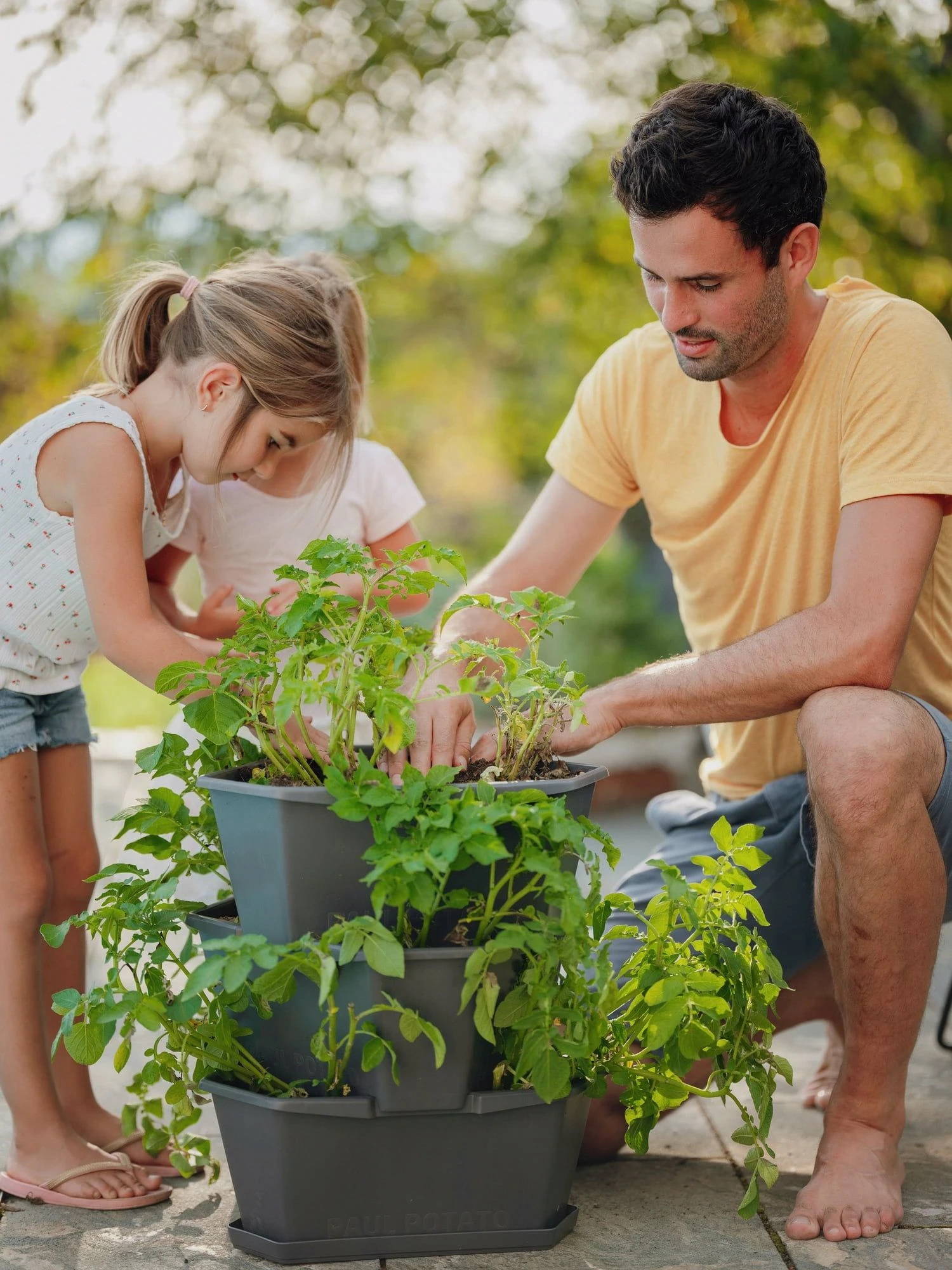 Paul Potato Starter - 3 Etagen, Grau 14 Paul Potato Starter - 3 Etagen, Grau – Bild 12