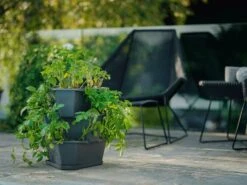 Paul Potato Starter - 3 Etagen, Grau 28 Paul Potato Starter - 3 Etagen, Grau -Deutschland Gartenbedarf Verkäufe 2024 gusta garden paul potato starter 3 etagen 1 st 899438 de