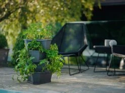 Paul Potato Starter - 4 Etagen, Anthrazit