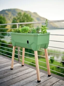 Sammy Salad Hochbeet - Ohne Haube, Dunkelgrün -Deutschland Gartenbedarf Verkäufe 2024 gusta garden sammy salad hochbeet ohne haube temno zelena 1621322 de