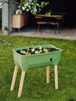 Sammy Salad Hochbeet - Ohne Haube, Dunkelgrün -Deutschland Gartenbedarf Verkäufe 2024 gusta garden sammy salad hochbeet ohne haube temno zelena 1621324 de