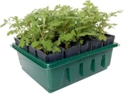 Anzuchtschale "Compact Rootrainers"