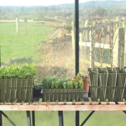 Anzuchtschale "Rapid Rootrainers" 7 Anzuchtschale "Rapid Rootrainers" -Deutschland Gartenbedarf Verkäufe 2024 haxnicks anzuchtschale rapid rootrainers 1 st 1665991 de