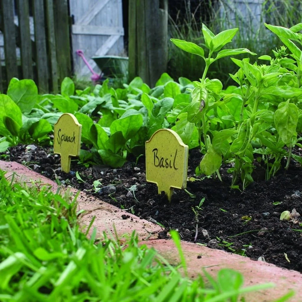 Bambus-Pflanzschilder 9 Bambus-Pflanzschilder – Bild 7