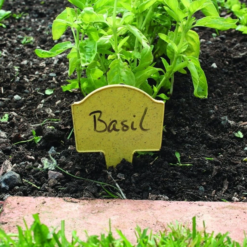 Bambus-Pflanzschilder 5 Bambus-Pflanzschilder – Bild 3