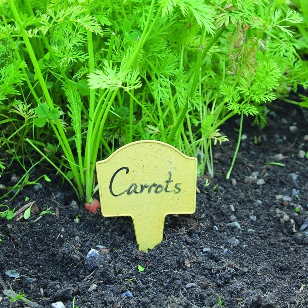 Bambus-Pflanzschilder 8 Bambus-Pflanzschilder – Bild 6