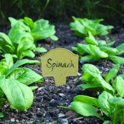 Bambus-Pflanzschilder 12 Bambus-Pflanzschilder -Deutschland Gartenbedarf Verkäufe 2024 haxnicks bambus pflanzschilder 1 set 1670477 de