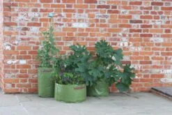 Gemüsepflanztaschen Im 3er Set, 3 Stück -Deutschland Gartenbedarf Verkäufe 2024 haxnicks gemuesepflanztaschen im 3er set 3 st 1666015 de