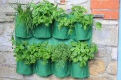 Hängender Kräutergarten -Deutschland Gartenbedarf Verkäufe 2024 haxnicks haengender kraeutergarten 1 st 1656013 de