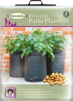 Kartoffelpflanztaschen Im 3er Set, 3 Stück 11 Kartoffelpflanztaschen Im 3er Set, 3 Stück -Deutschland Gartenbedarf Verkäufe 2024 haxnicks kartoffelpflanztaschen im 3er set 3 st 1666019 de