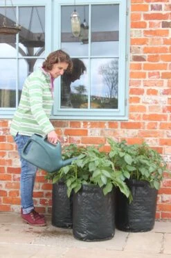 Kartoffelpflanztaschen Im 3er Set, 3 Stück 10 Kartoffelpflanztaschen Im 3er Set, 3 Stück -Deutschland Gartenbedarf Verkäufe 2024 haxnicks kartoffelpflanztaschen im 3er set 3 st 1666020 de