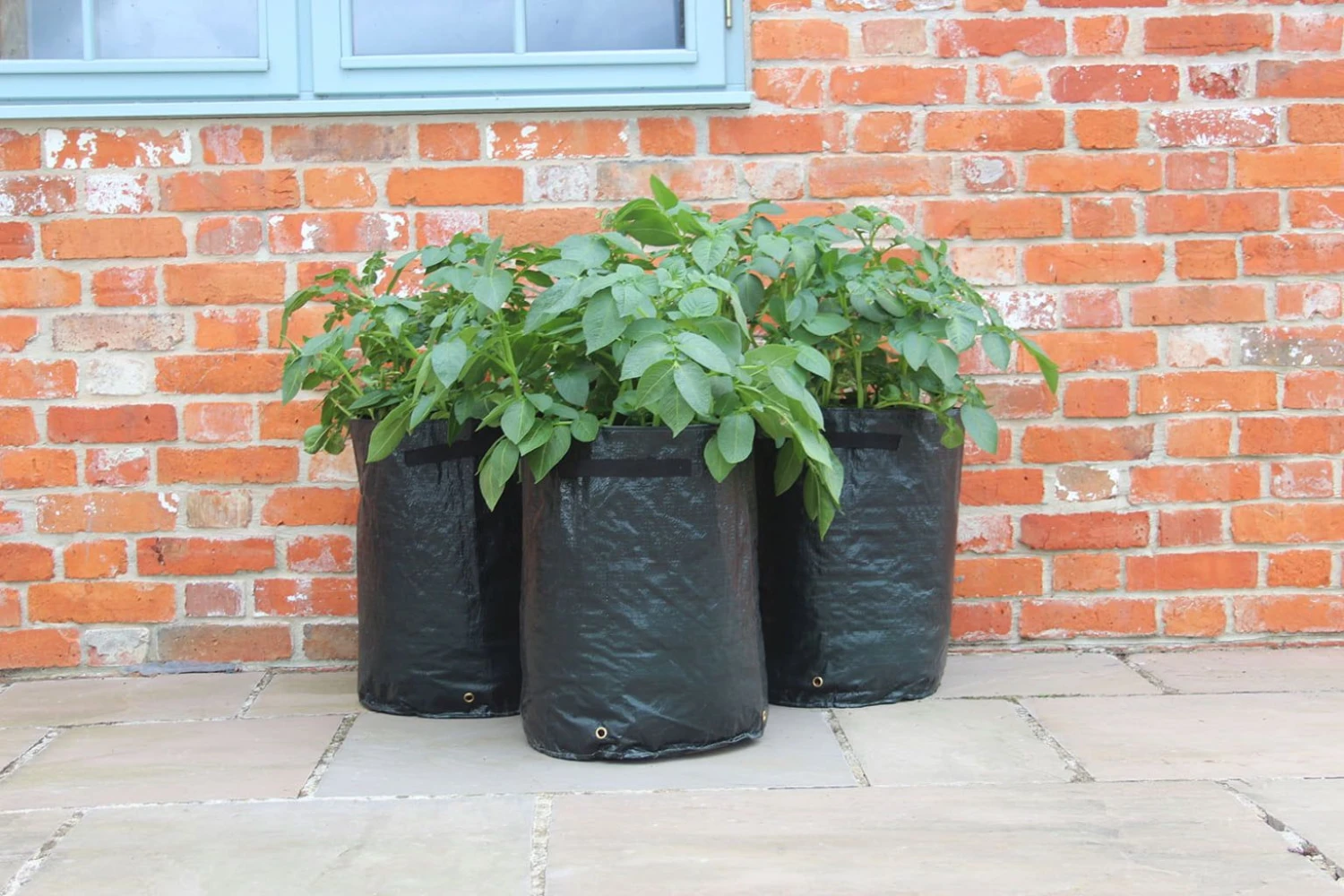 Kartoffelpflanztaschen Im 3er Set, 3 Stück 3 Kartoffelpflanztaschen Im 3er Set, 3 Stück