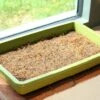 Microgreen-Anzuchtmatte, 3 Stück -Deutschland Gartenbedarf Verkäufe 2024 haxnicks microgreen anzuchtmatte 3 k 970960 de