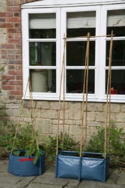 Pflanztasche Für Erbsen & Bohnen