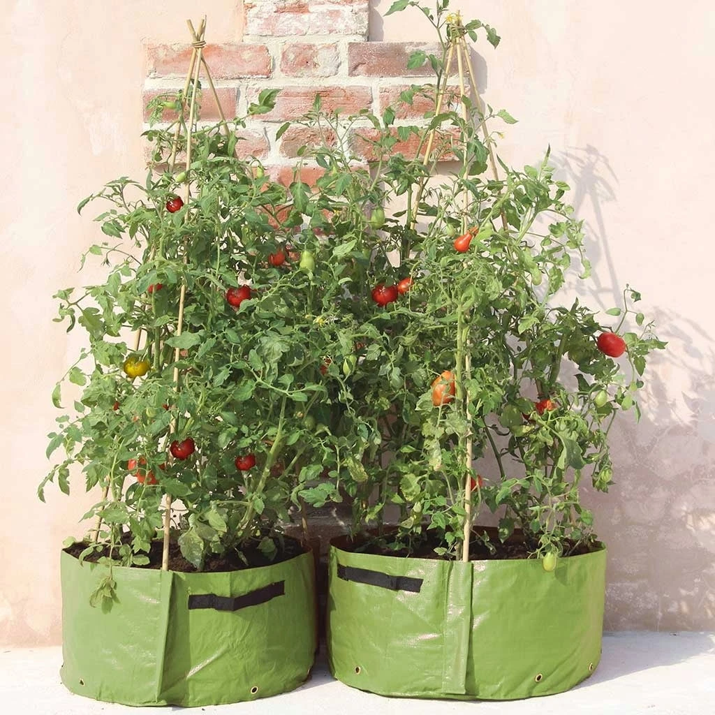 Tomaten-Pflanztasche Im 2er Set, Grün 4 Tomaten-Pflanztasche Im 2er Set, Grün – Bild 2