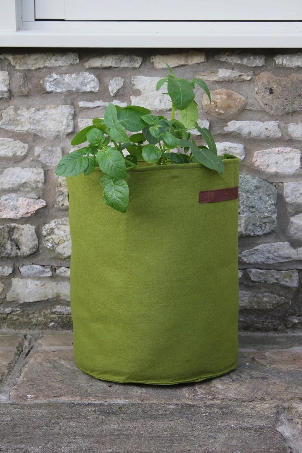 Vigoroot Kartoffel- Und Tomatenpflanztasche 4 Vigoroot Kartoffel- Und Tomatenpflanztasche – Bild 2