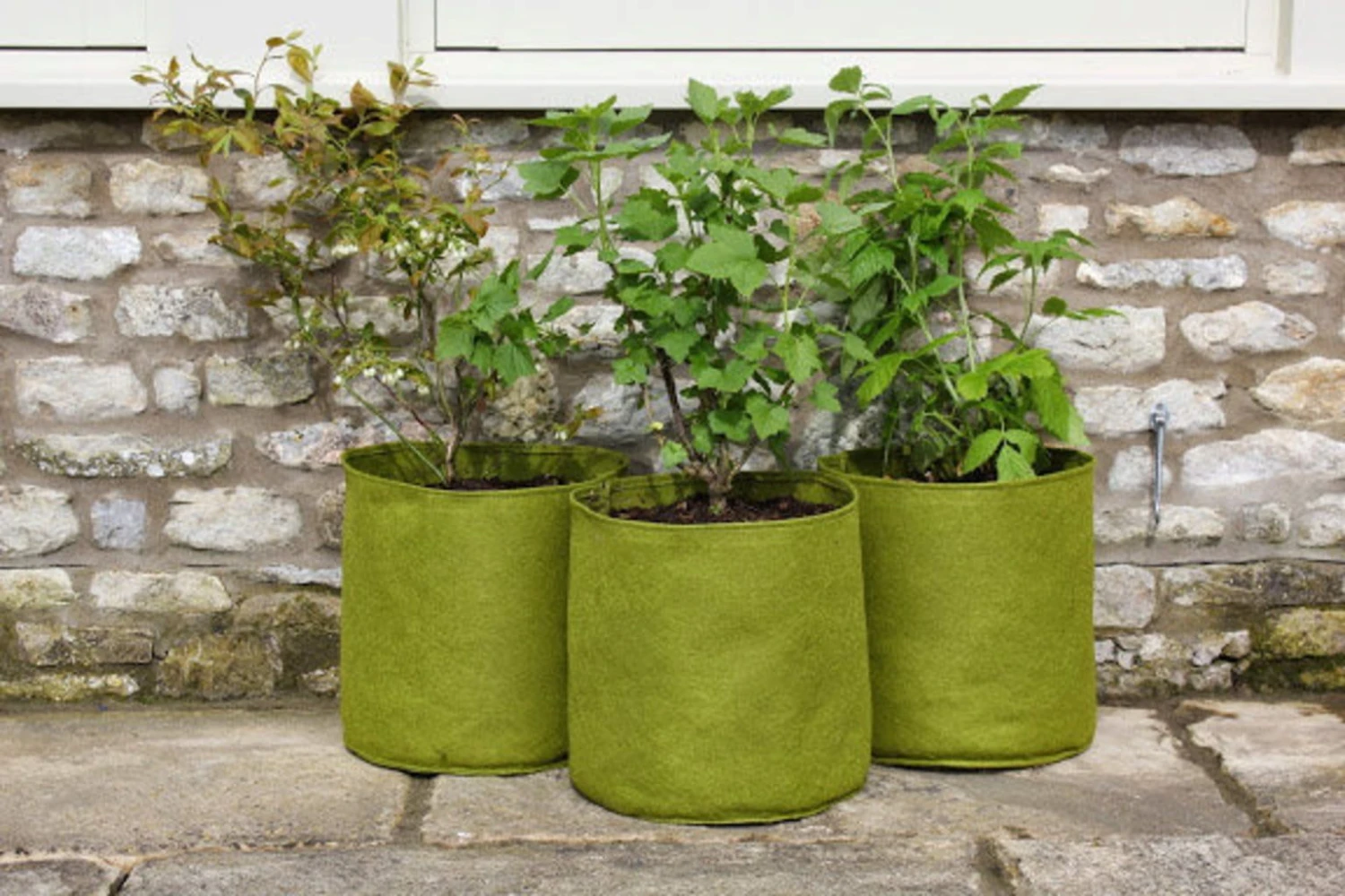 Vigoroot Pflanztaschen Im 3er Set, 5 L (3 Stück) 4 Vigoroot Pflanztaschen Im 3er Set, 5 L (3 Stück) – Bild 2