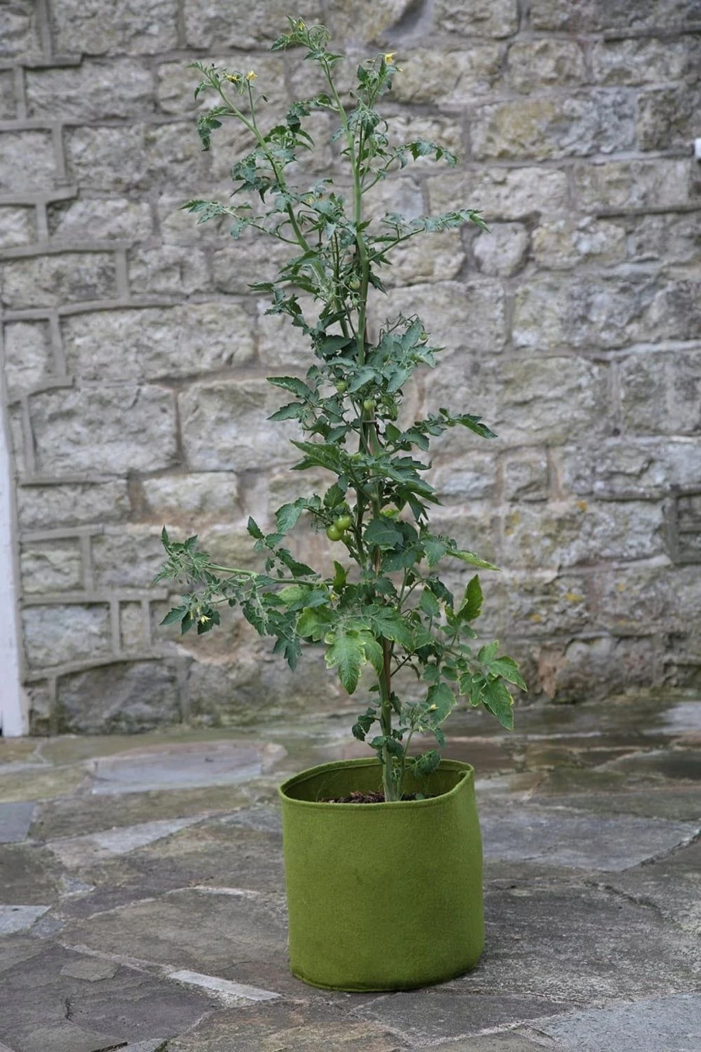 Vigoroot Pflanztaschen Im 3er Set, 5 L (3 Stück) 3 Vigoroot Pflanztaschen Im 3er Set, 5 L (3 Stück)