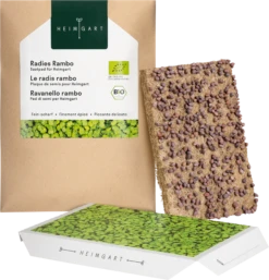 Radieschen Rambo Microgreen Saatpad 12 Radieschen Rambo Microgreen Saatpad -Deutschland Gartenbedarf Verkäufe 2024 heimgart radieschen rambo microgreen saatpad 1 stk 909891 de