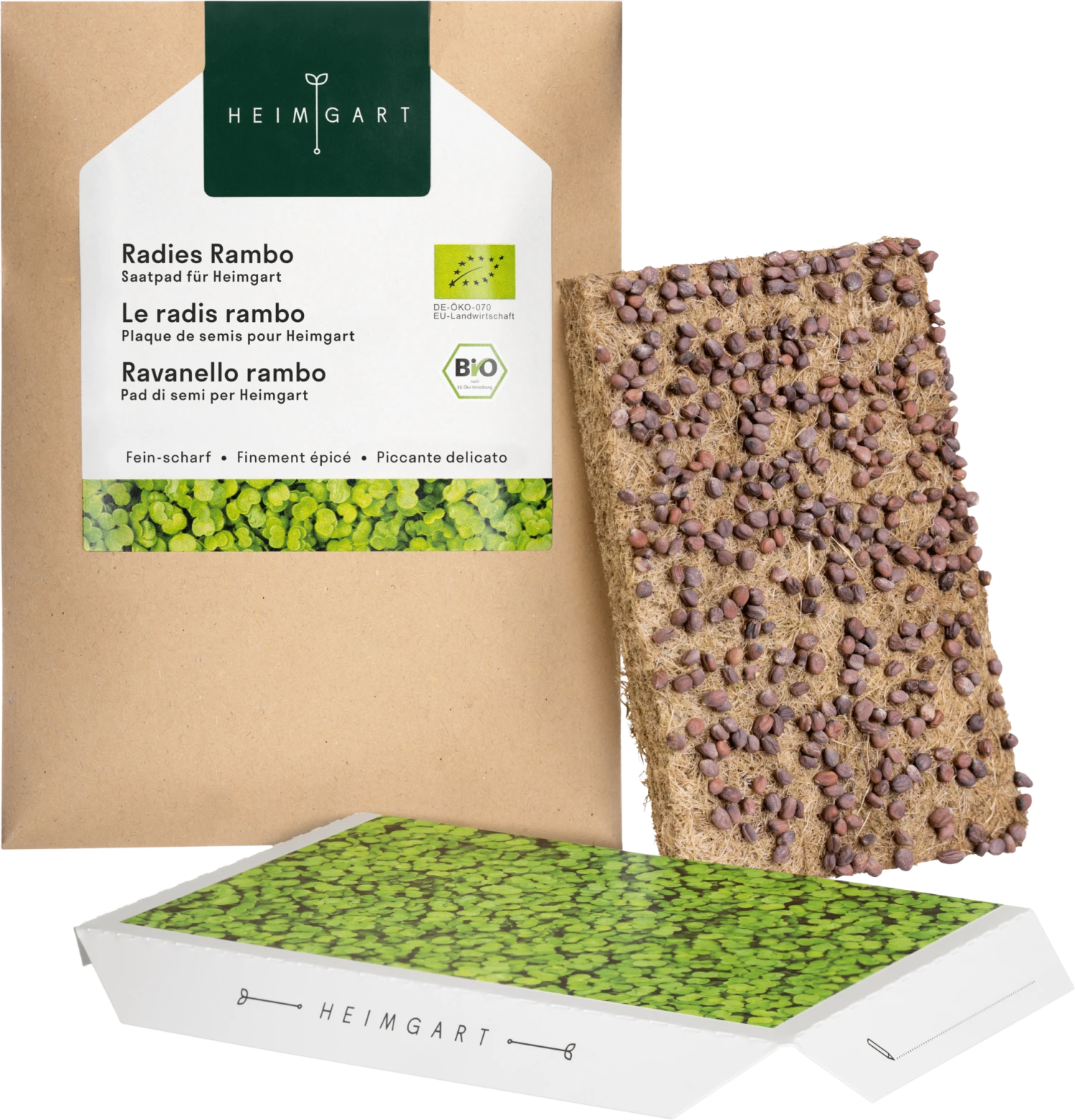 Radieschen Rambo Microgreen Saatpad 5 Radieschen Rambo Microgreen Saatpad – Bild 3