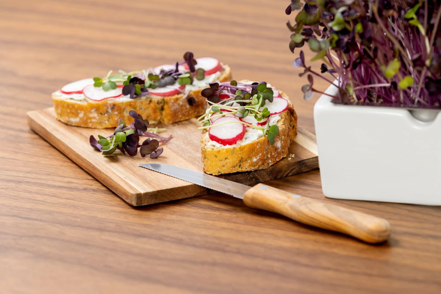 Radieschen Rambo Microgreen Saatpad 7 Radieschen Rambo Microgreen Saatpad – Bild 5