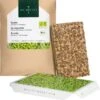 Rauke Microgreens Saatpad 1 Rauke Microgreens Saatpad -Deutschland Gartenbedarf Verkäufe 2024 heimgart rauke microgreens saatpad 1 st 813072 de