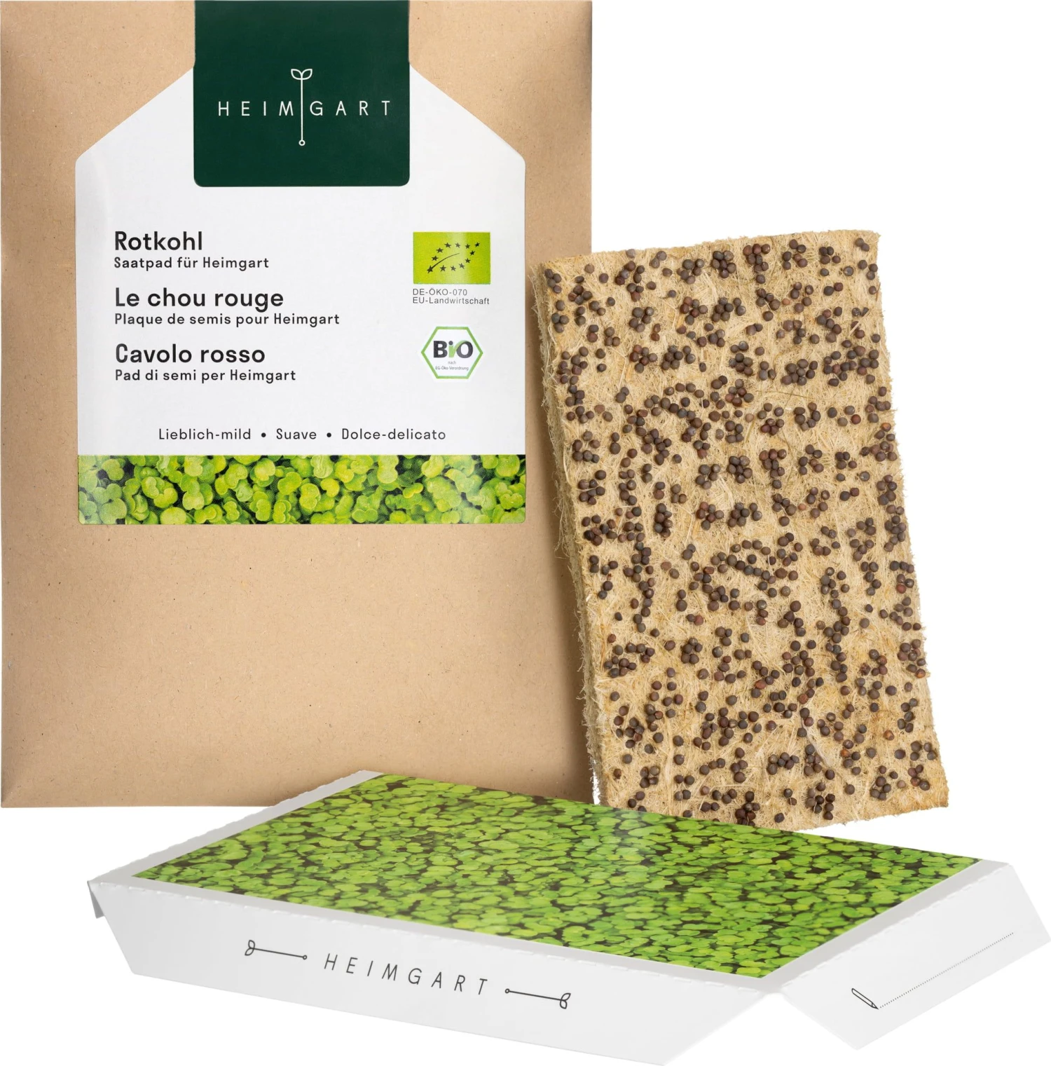 Rotkohl Microgreens Saatpad 4 Rotkohl Microgreens Saatpad – Bild 2