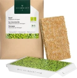 Senf Microgreens Saatpad -Deutschland Gartenbedarf Verkäufe 2024 heimgart senf microgreens saatpad 1 st 813174 de
