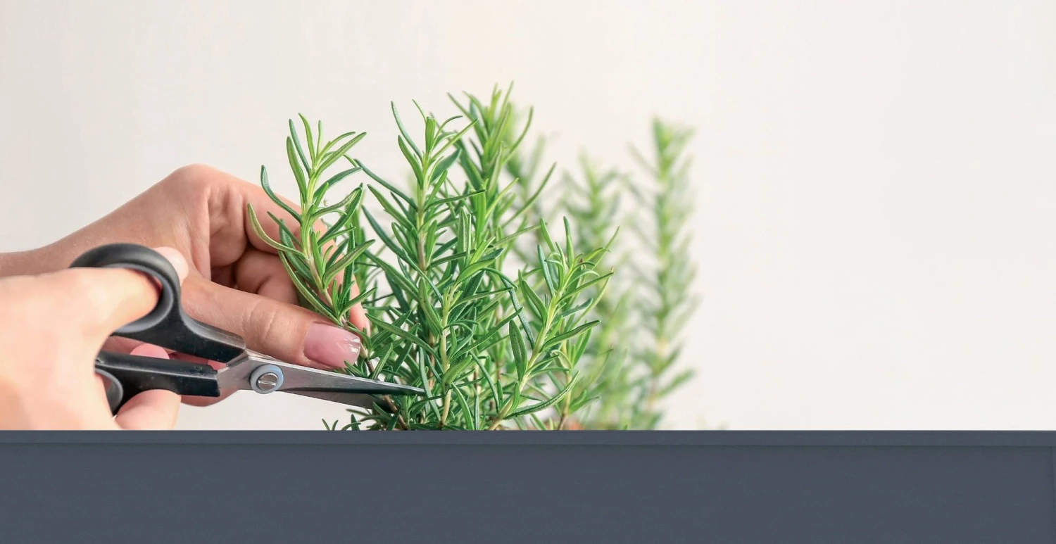 Hochbeet "Urban Garden" , Anthrazit 4 Hochbeet "Urban Garden" , Anthrazit – Bild 2