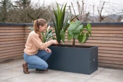 Pflanzkasten 50 X 150 X 50, Anthrazit 16 Pflanzkasten 50 X 150 X 50, Anthrazit -Deutschland Gartenbedarf Verkäufe 2024 herstera pflanzkasten 50 x 150 x 50 anthrazit 1294035 de