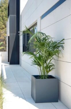 Pflanzkasten 50 X 150 X 50, Anthrazit 19 Pflanzkasten 50 X 150 X 50, Anthrazit -Deutschland Gartenbedarf Verkäufe 2024 herstera pflanzkasten 50 x 150 x 50 anthrazit 1294049 de