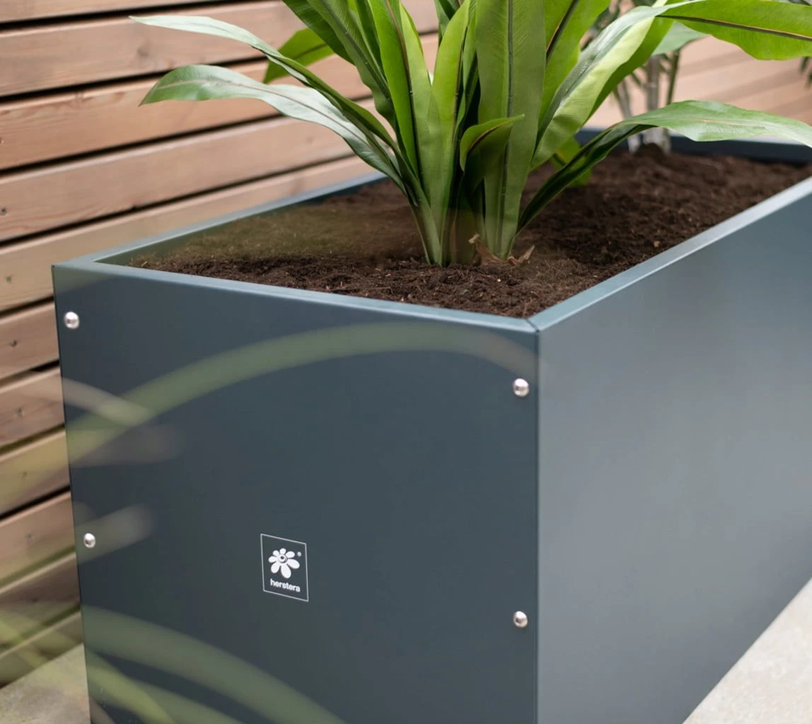 Pflanzkasten 50x100x50, Anthrazit 4 Pflanzkasten 50x100x50, Anthrazit – Bild 2