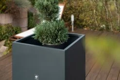 Pflanzkasten Cube 70x70x70, Anthrazit -Deutschland Gartenbedarf Verkäufe 2024 herstera pflanzkasten cube 70x70x70 anthrazit 1293291 de