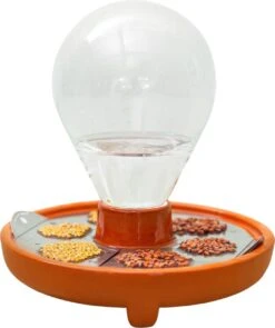 "Patella Crescenda" - Natürliches Keimset -Deutschland Gartenbedarf Verkäufe 2024 house of thol patella crescenda natuerliches keimset 1664660 de