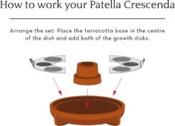 "Patella Crescenda" - Natürliches Keimset -Deutschland Gartenbedarf Verkäufe 2024 house of thol patella crescenda natuerliches keimset 1682822 de