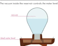 "Patella Crescenda" - Natürliches Keimset -Deutschland Gartenbedarf Verkäufe 2024 house of thol patella crescenda natuerliches keimset 1682824 de