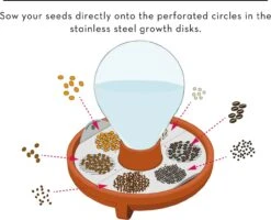 "Patella Crescenda" - Natürliches Keimset -Deutschland Gartenbedarf Verkäufe 2024 house of thol patella crescenda natuerliches keimset 1682825 de