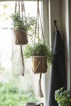 Aufhängung Für Blumentopf 12 Aufhängung Für Blumentopf -Deutschland Gartenbedarf Verkäufe 2024 ib laursen aufhaengung fuer blumentopf 1681819 de