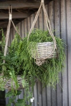 Hängekorb Rattan, H: 13 Cm Ø: 36 Cm -Deutschland Gartenbedarf Verkäufe 2024 ib laursen haengekorb rattan 1681831 de