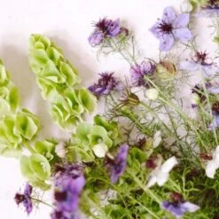 Schnittblumen Set "Cool Flowers" - The Great Collection -Deutschland Gartenbedarf Verkäufe 2024 jora dahl schnittblumen set cool flowers the great collection 1 st 1671880 de