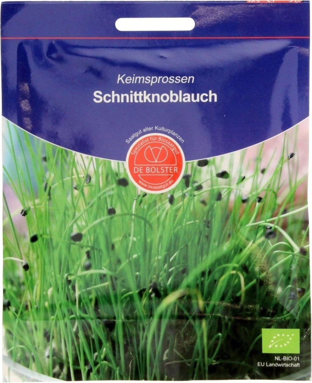 Keimsprossen "Schnittknoblauch", 20 G 4 Keimsprossen "Schnittknoblauch", 20 G – Bild 2