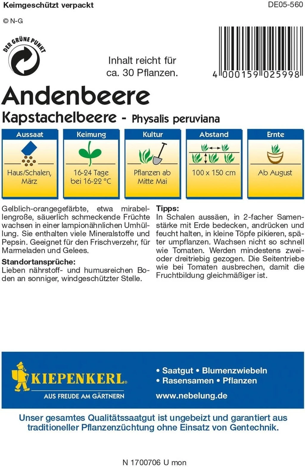 Andenbeere 4 Andenbeere – Bild 2