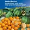 Andenbeere -Deutschland Gartenbedarf Verkäufe 2024 kiepenkerl andenbeere 1 pkt 1186975 de