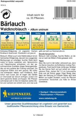 Bärlauch "Waldknoblauch"