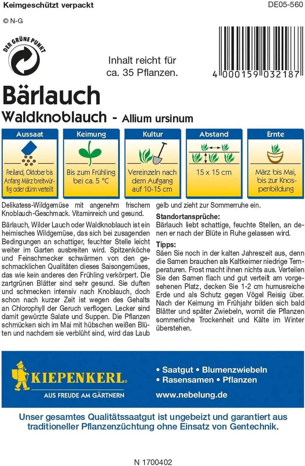 Bärlauch "Waldknoblauch" 3 Bärlauch "Waldknoblauch"