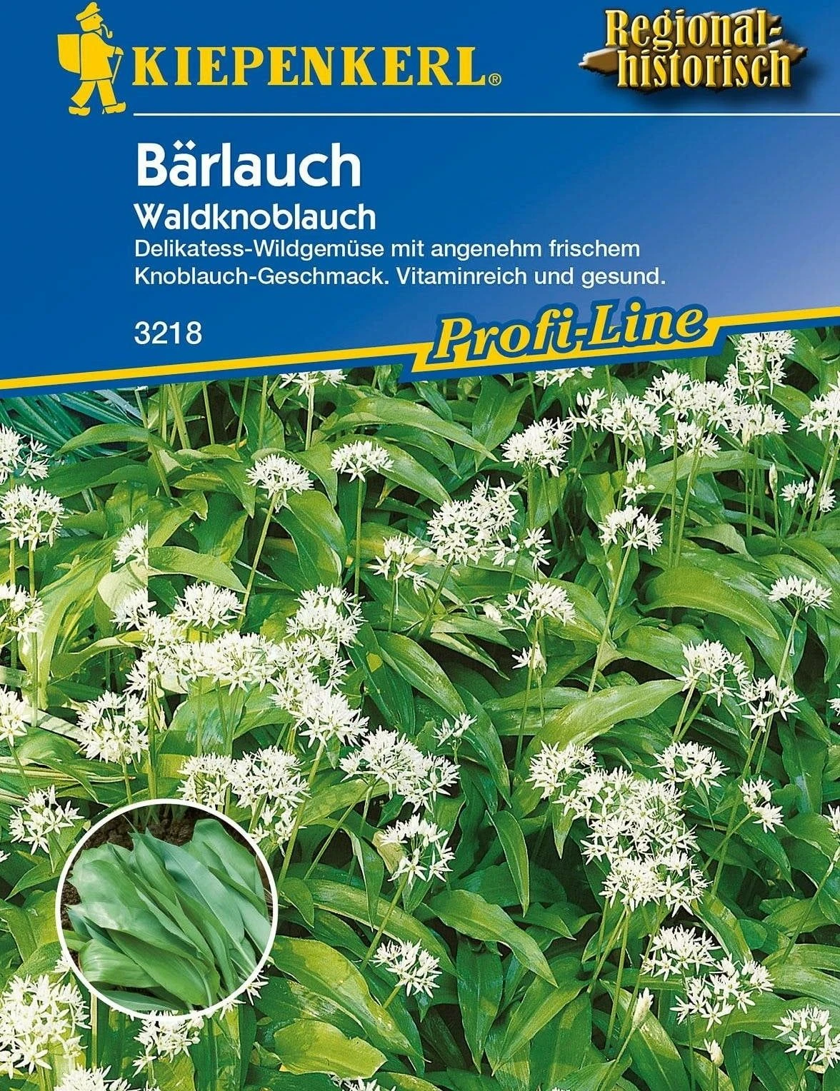 Bärlauch "Waldknoblauch" 4 Bärlauch "Waldknoblauch" – Bild 2