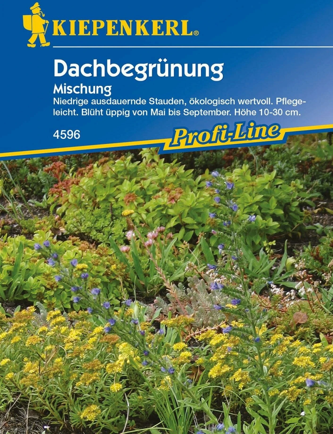 Dachbegrünung 3 Dachbegrünung